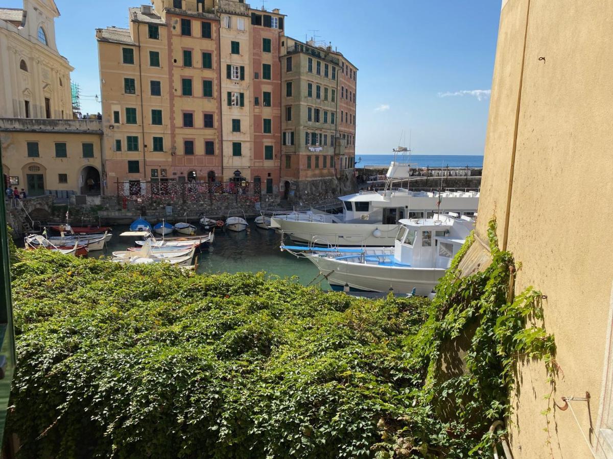 Camogli - "La Casa Di Judi" - Liguria Holidays Екстериор снимка
